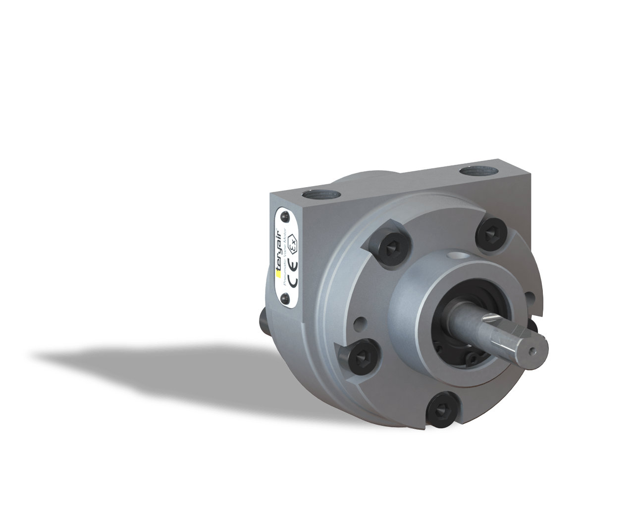 Air Motors – Vane Type